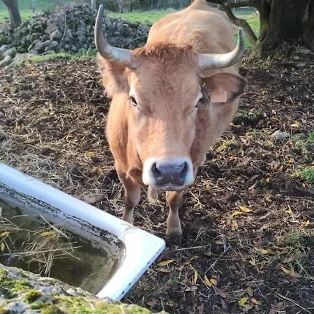 Casona La Teja En Ribadedeva Feriehus